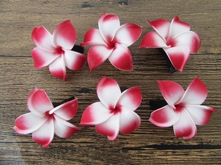 24Pcs Hair Clips with Red Foam Frangipani